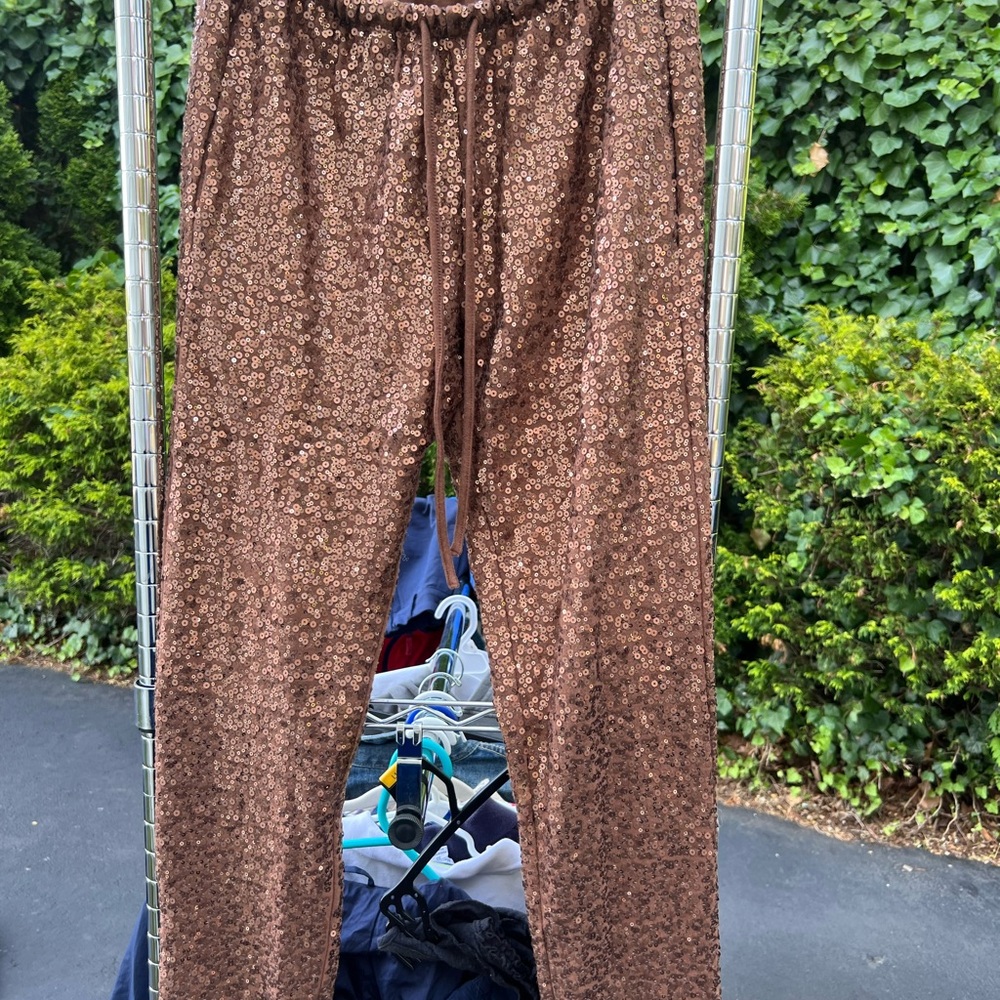 Splendid Copper Sequin Pants